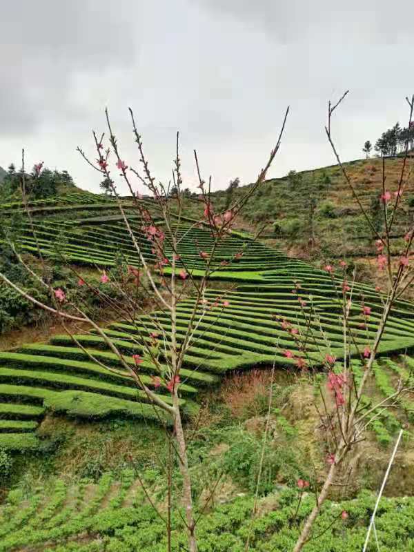 基地风采