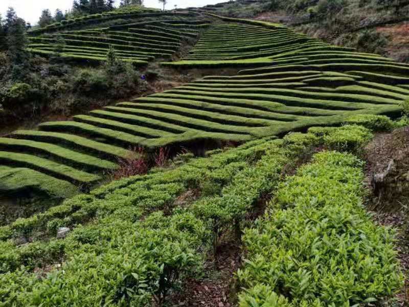 基地风采