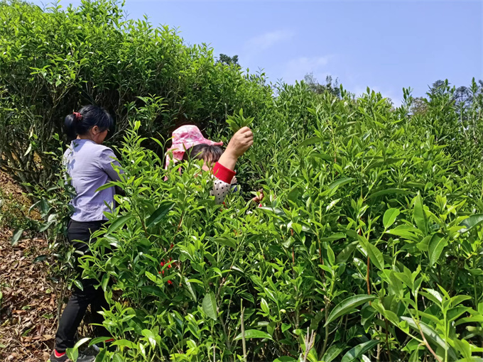 基地风采