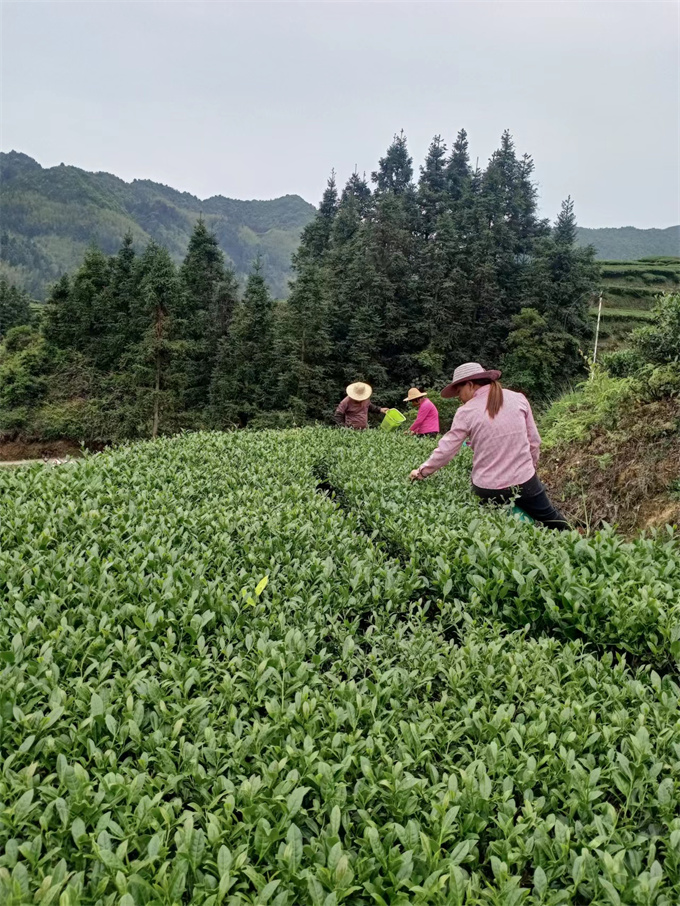 基地风采